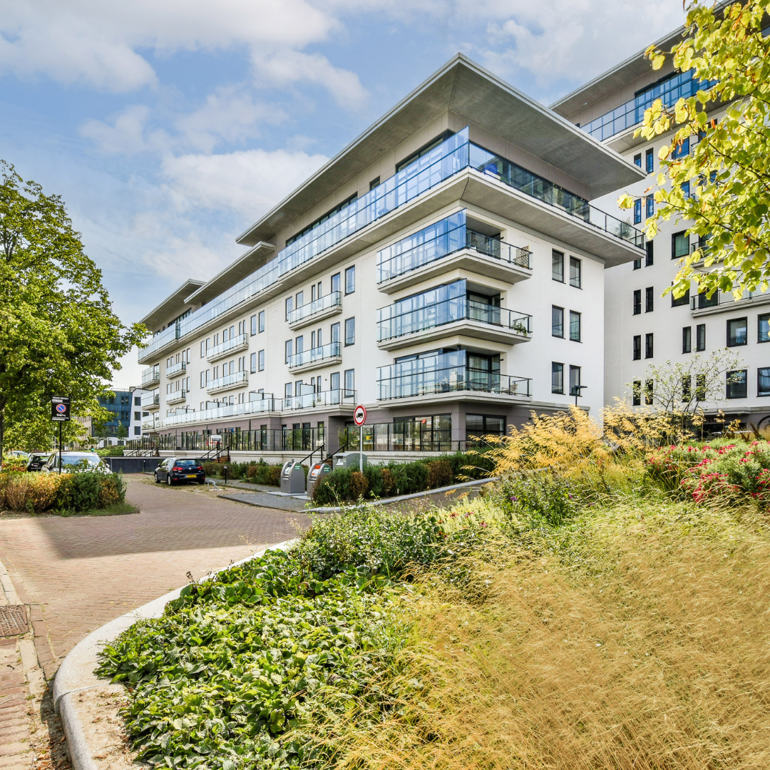 Apartment management in North Texas showcasing professional oversight of property operations, compliance, and long-term asset performance.